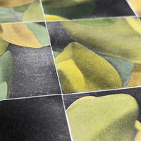 Bruma (series)