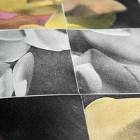 Bruma (series)