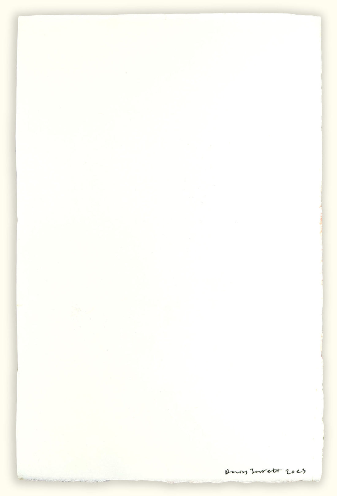 Daisy Jarrett Artist and Printmaker for Art School Prints Monoprint