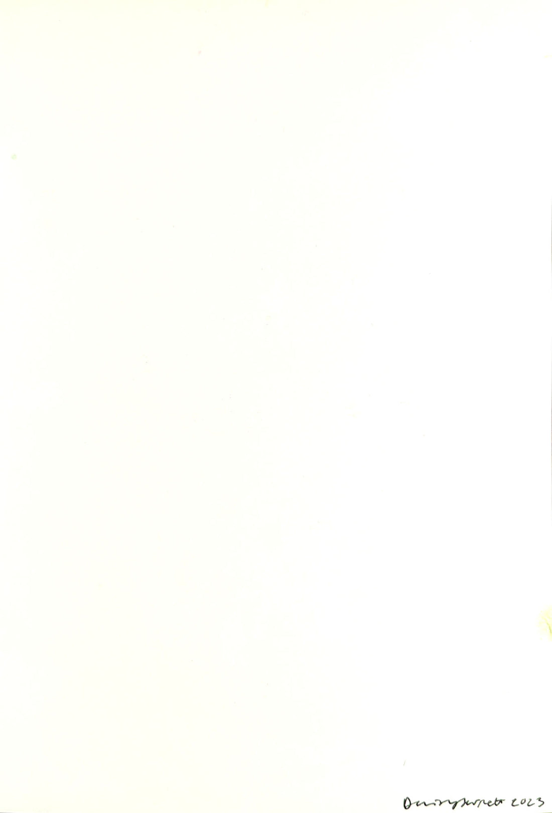 Daisy Jarrett Artist and Printmaker for Art School Prints Monoprint