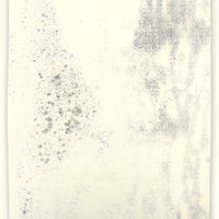 Daisy Jarrett Artist and Printmaker for Art School Prints Monoprint