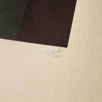 Art School: Richard Marsden, Semblance (signature)